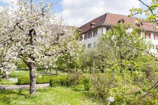 Kloster Dornach / Basel - Dornach - 0