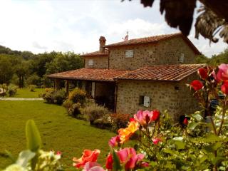 Pangea Villa 8 - Usually min 7 nights - Seggiano - 5
