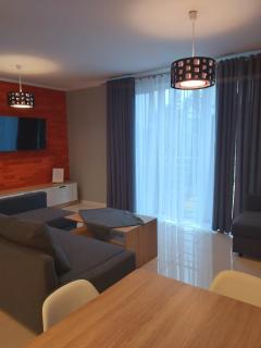 Apartament Wiktoria Świeradów Zdrój - Świeradów-Zdrój - 8