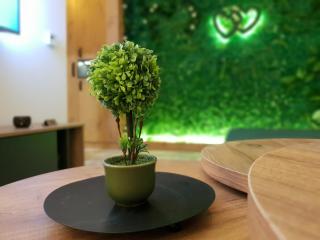 Apartman ZELENA BAJKA- Bjelašnica - Bjelašnica - 4