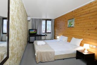 Spa Hotel Select - Halfboard - Velingrad - 9