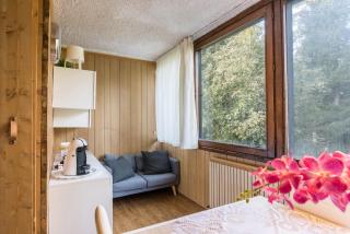 Appartamento Volpi - Mezzana - 9