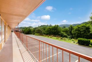 Econo Lodge Marion I-81 - Marion - 9