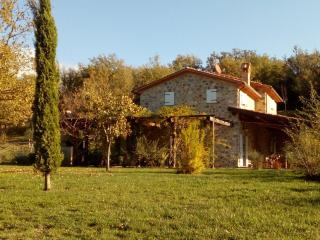 Pangea Villa 8 - Usually min 7 nights - Seggiano - 3
