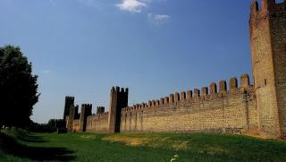 The Comfort Apartment - Montagnana - 5