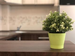 Exclusive Home - D. apartman - Pécs - 6