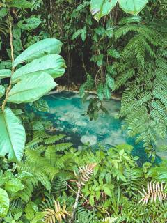 Oski Lodge, Rain Forest Rincón de la Vieja - 3