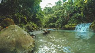 Oski Lodge, Rain Forest Rincón de la Vieja - 1