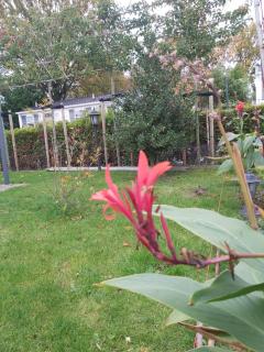 Bospareltjes Luxe chalets Alleen voor recreatie - 7