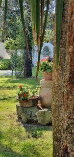Hotel Mediterraneo - Qualiano - 7