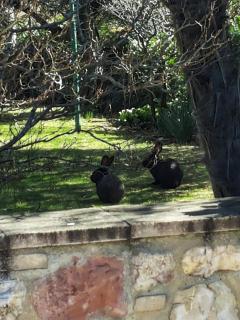 Hotel Villa Elda - 4