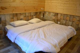 Forest Wood Cottage - Manāli - 3