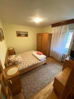 Apartament Slanic Moldova - Slănic-Moldova - 3