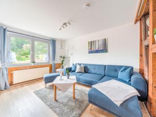 Apartment near the ski area in Zorge - 5