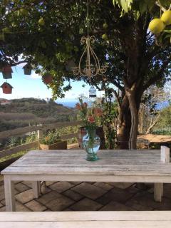 La Toscana de Corvo - 7