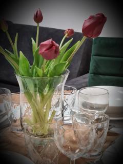 Apartament nad klifem w Dziwnówku - 4