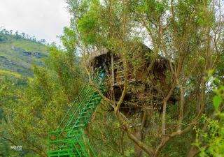 Moonlight Munnar Forest Bungalow with Private Waterfalls by VOYE HOMES - 5