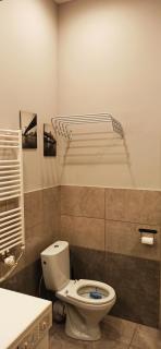 Studio flat in a historical XIX c. building. - Kaunas - 1
