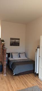 Studio flat in a historical XIX c. building. - Kaunas - 7