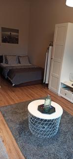 Studio flat in a historical XIX c. building. - Kaunas - 6