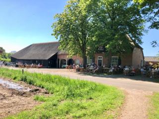 B&B 't Mjeels Pierke - Meerle - 2