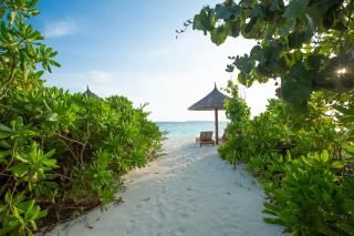 Reethi Faru Resort - Stay 5 Nights or more Between Aug to Oct 2025 & Enjoy a Free Sunset Cruise - Raa Atoll - 8