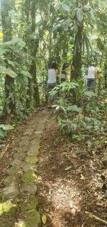 Finca Las Palmas Ecolodge - 1