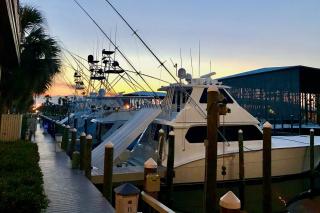 Phoenix 6 Unit 1206 - 4