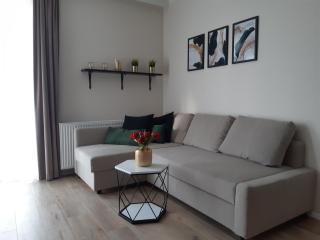 Baltica Sea Apartment II - Danzig - 2
