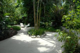 Togo B&B Farallon - Playa Blanca - 4