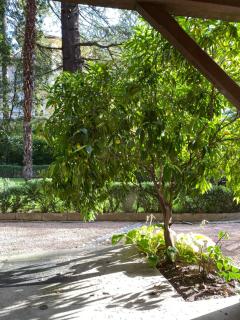 Cozy Apartment in a Historic Villa - Merano - 4