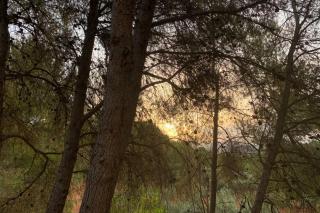 LA CASICA - Segorbe - 1