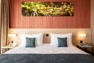 Golden Lakes Hotel - Boussu-lez-Walcourt - 2