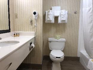 Best Western Plus Lexington Inn - Lexington - 7