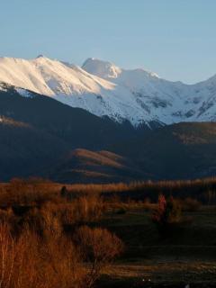 La Curtea Porumbaceana - 3