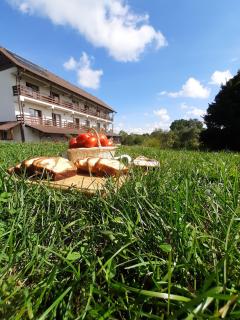 La Curtea Porumbaceana - 0