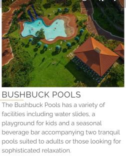 203 zimbali suites - 3