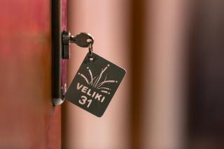 Veliki Garni Hotel - Novi Sad - 9