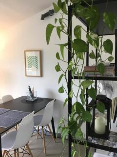 Charming Duplex with Terrace Historical City Center - Arles - 2