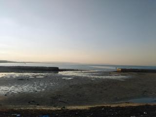 Studio Apartment at Tiba Star - 4