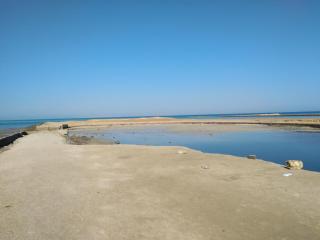 Studio Apartment at Tiba Star - 5