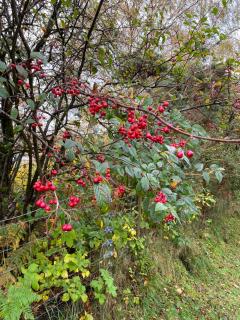 Carters Rest Holiday Lets - 3