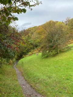 Carters Rest Holiday Lets - 2