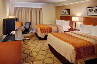 Comfort Inn - 3