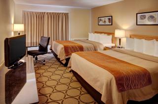 Comfort Inn - Corner Brook - 9