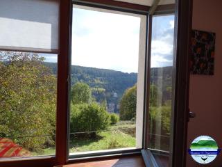 Domaine L'Impératrice - Plombières-les-Bains - 8
