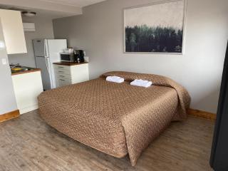 Caribou Lodge and Motel - Soda Springs - 8