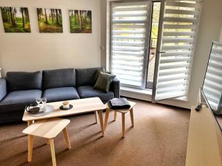 Apartmán Modrá hvězda - Rokytnice nad Jizerou - 9