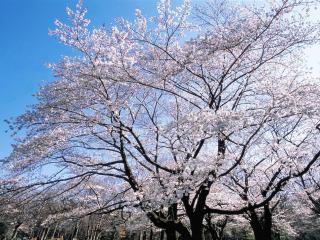 Seaside Hotel Kamome - 3