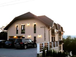 Vila Alexandra Sovata - Sovata - 0